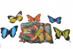 пеперудка с магнит, двойни крила, много разцветки 16 см. (50 бр. в стек)