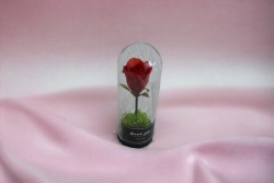 ВЕЧНО жива роза в стъкленица 18х11 см. (Промоция- при покупка над 3 бр. базова цена 23,00 лв.)