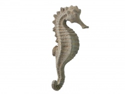 керамичнен сувенир, морско конче 18х8 см.