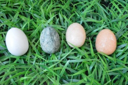 СУВЕНИР, ръчно изработен от естествени материали, великденски заек с яйце 21 см.(Промоция- при покупка над 4 бр. базова цена 9,50 лв.)