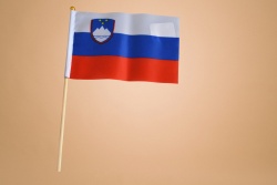 знаме Беларус, качествен полиестер 14х21 см. с дървена дръжка (50 бр. в стек)