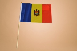 знаме, нацонален флаг Украйна 14х21 см. пластмасова дръжка (50 бр. в стек)