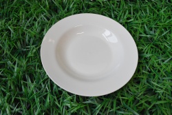 керамично изделие, чиния, порционна 20х4,4 см. пера (60 бр. в кашон)