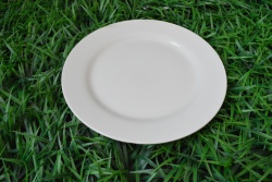керамично изделие, чиния, квадратна 20,5х12 см. бяла (40 бр. в кашон)