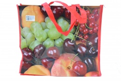 багажна количка 33x93 см. с цветна торба 55х20х33 см. и гуми 16 см. (R4)