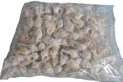 сувенир от полеризин, костенурка 5 см. SY16595 (50 бр. в кутия)