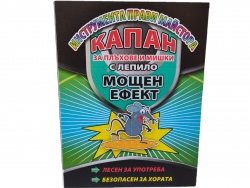 БОРБА с насекомите, тебешир против мравки и хлебарки в кутия (50 бр. в кутия)(Промоция- при покупка над 150 бр. базова цена 0,27 лв.)