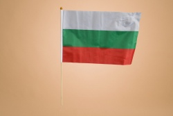 .знаме, национален флаг - Република България, качествен полиестер 30х45 см. с дървена дръжка, издържа на дъжд (50 бр. в стек)