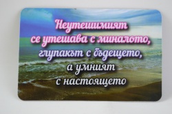 сувенирен магнит, стикер- Чък Норис 5 лв. 9х6 см.