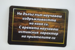 сувенирен магнит, стикер- Чък Норис и лукът 9х6 см.