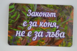 сувенирен магнит, стикер- цитат Карлос Сантана 9х6 см.