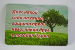 сувенирен магнит, стикер- Богатство / Здраве 9х6 см.