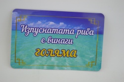 сувенир от пластмаса, магнит и пружинки- риба, цветна 11х9 см. (60 бр. в кутия)