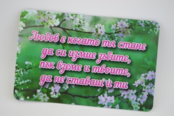 сувенирен магнит, стикер- Чък Норис не е гладен 9х6 см.