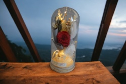 .ВЕЧНО живо цвете в стъкленица, роза с аранжировка и перли, светеща 18х8,5 см.(Промоция- при покупка над 3 бр. базова цена 14,99 лв.)