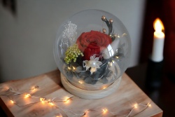 .вечно живо цвете в стъклена топка, роза, светеща в кутия 12х13 см.