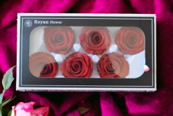 .вечно живи рози 6 бр. 5х6 см. в кутия