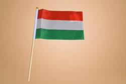 .знаме, национален флаг - Република България, висок клас полиестер 30х45см. с пластмасова дръжка за кола, издържа на дъжд (12 бр. в стек)