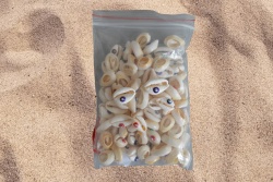 сувенир от естествен материал, морски миди, модел убиец с очички 1,6 до 1,8 см (100 бр. в торба)