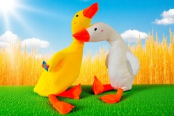 плюшена играчка, патка,  85 см.