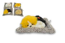 куче, легнало на плаче, музикално 17х15,5 см.